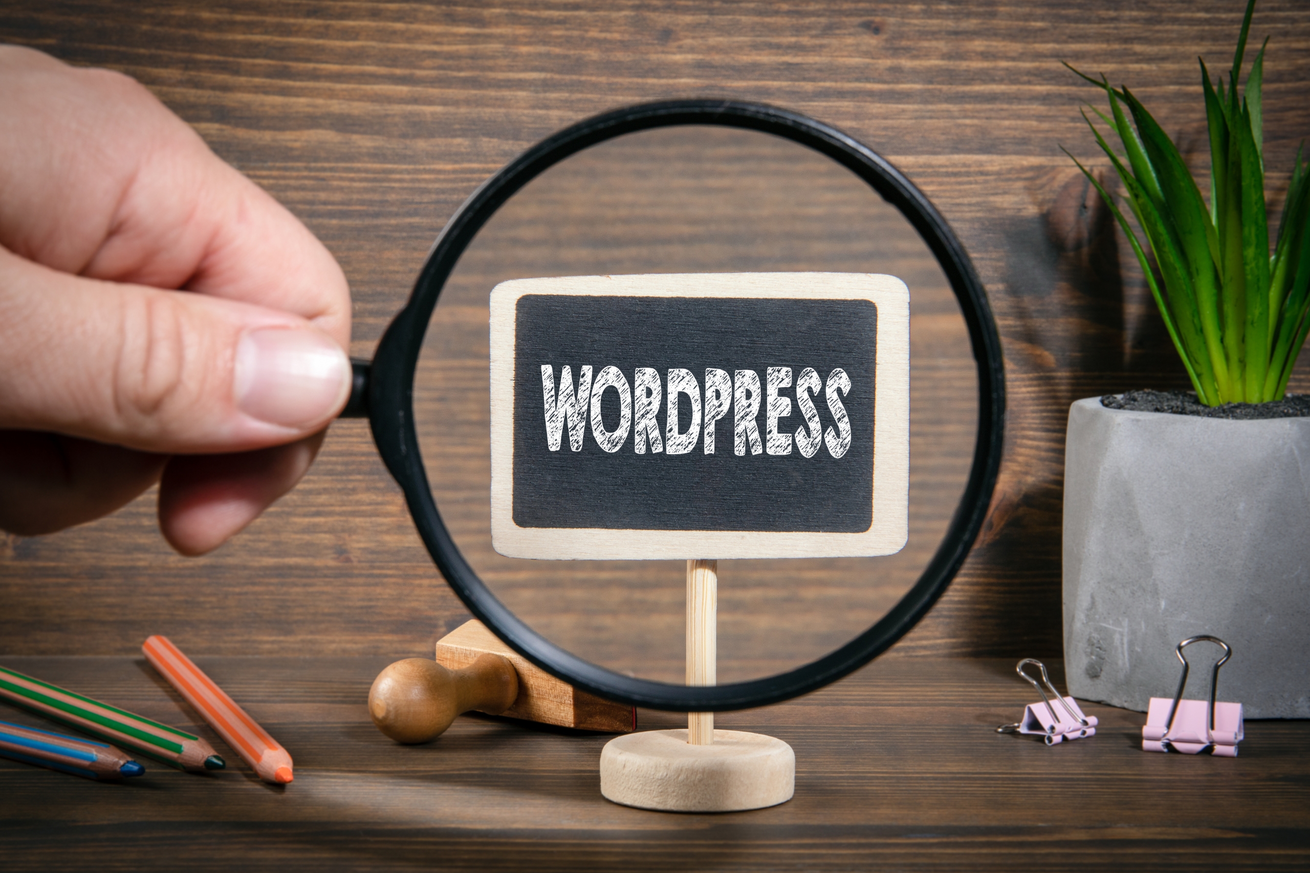 How To Get A WordPress Website Developer