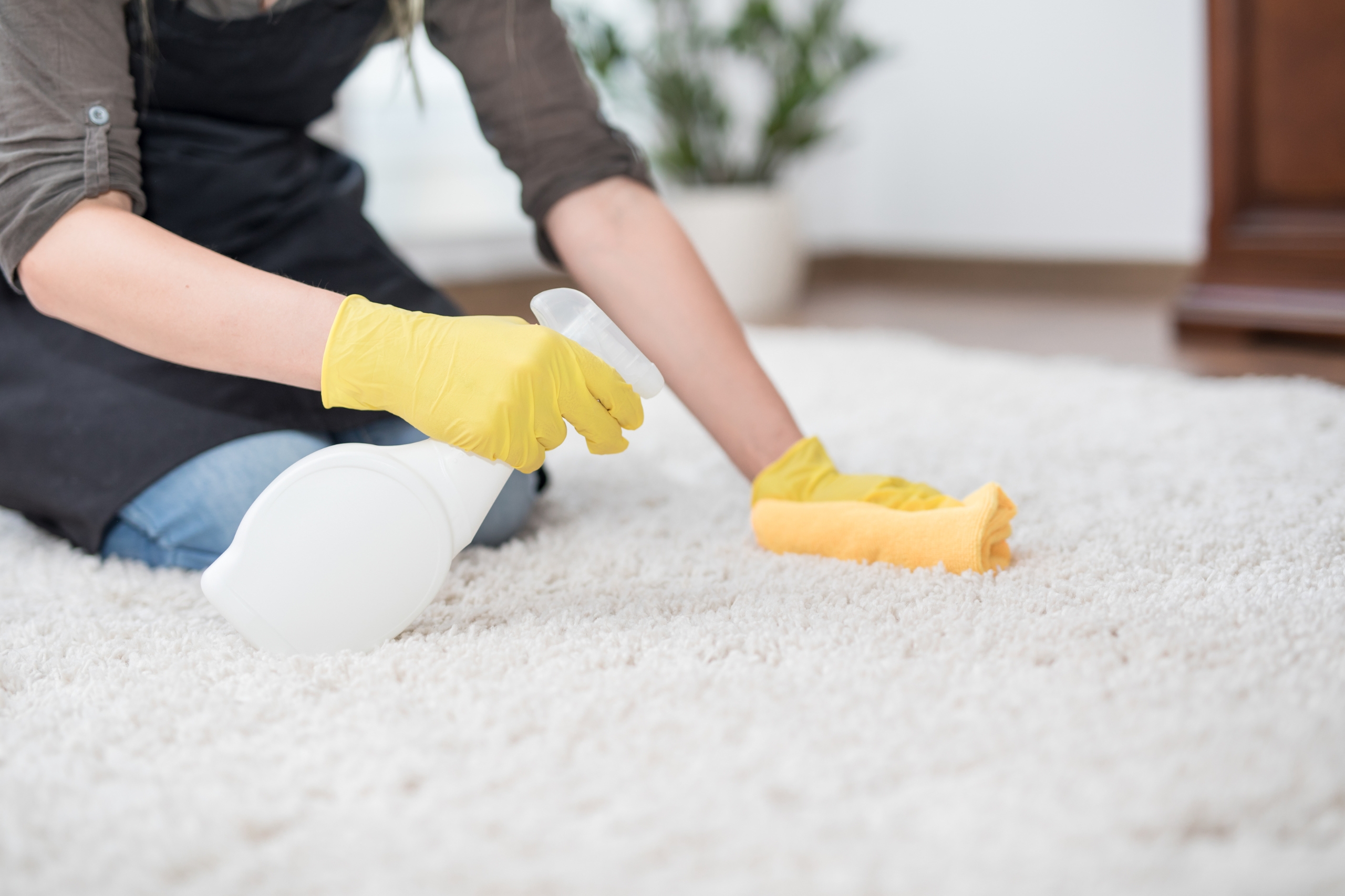 How Your Home Can Benefit From a Carpet Repairs Service
