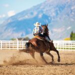 Key Statistics Considered For Horse Race Tips