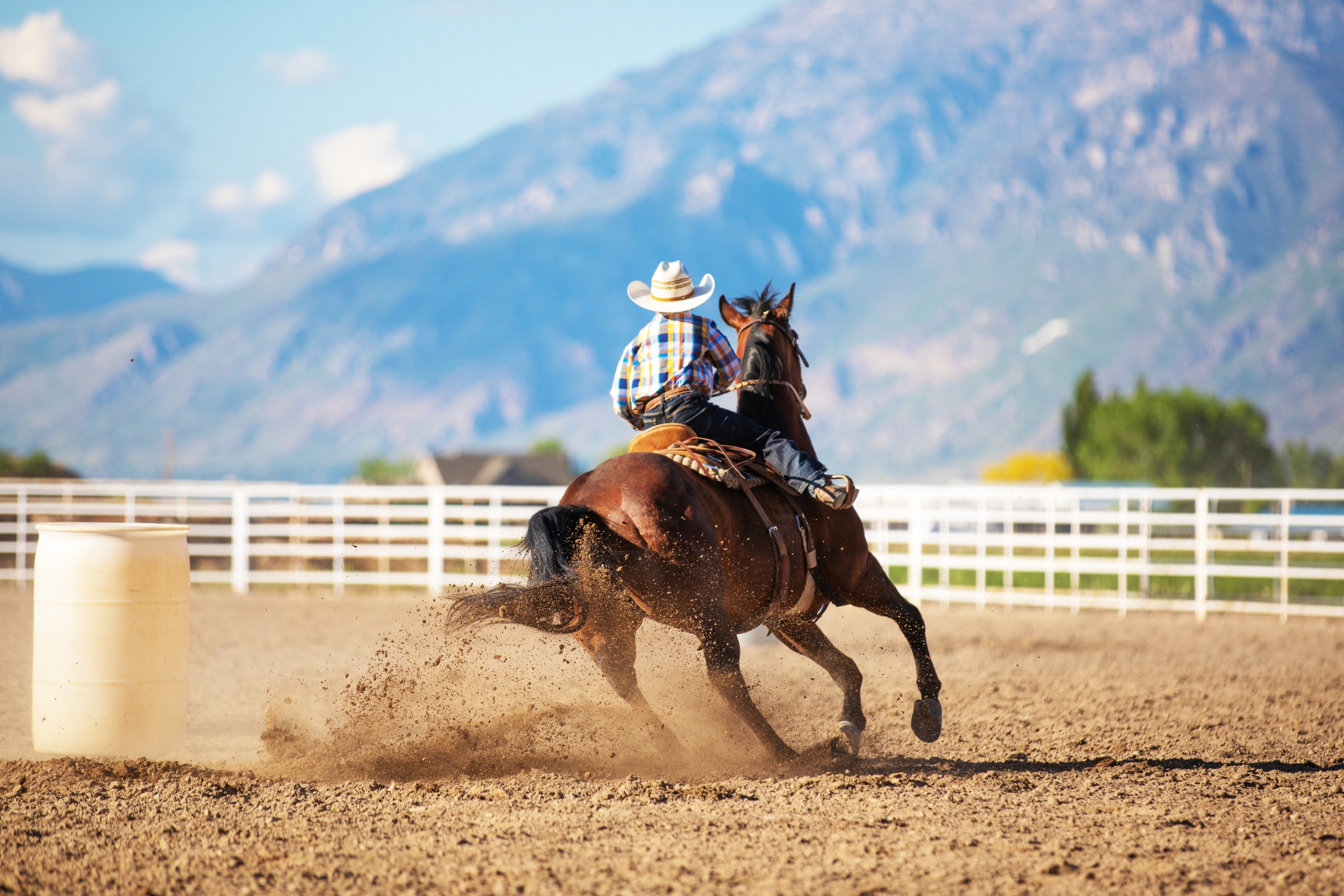 Key Statistics Considered For Horse Race Tips