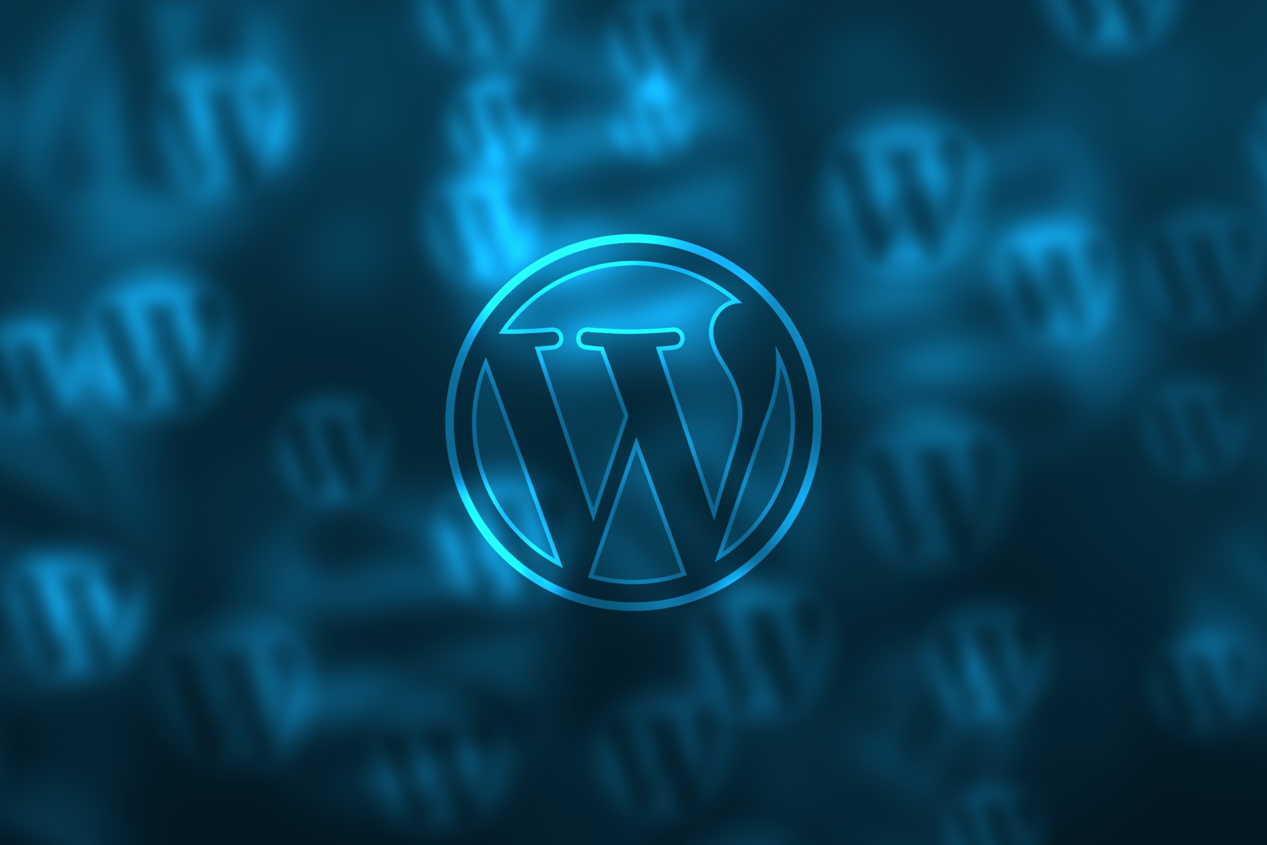 What Is a Front-End WordPress Website Developer?