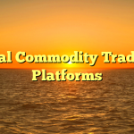 Ideal Commodity Trading Platforms