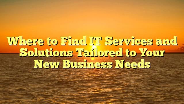 Where to Find IT Services and Solutions Tailored to Your New Business Needs