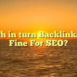 Which in turn Backlinks Are Fine For SEO?