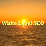 White Label SEO