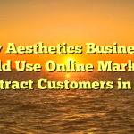 Why Aesthetics Businesses Should Use Online Marketing to Attract Customers in 2023