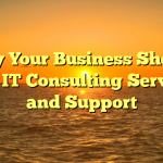 Why Your Business Should Hire IT Consulting Services and Support