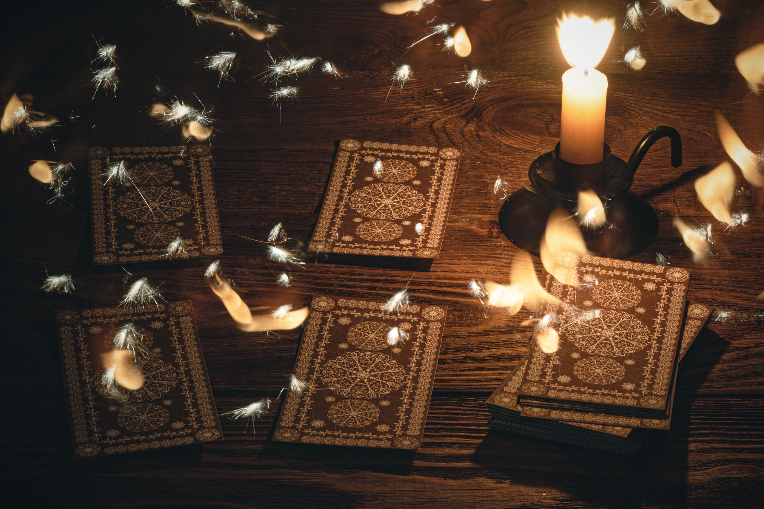 See Into the Future 2023 With a Phone Tarot Reading Service